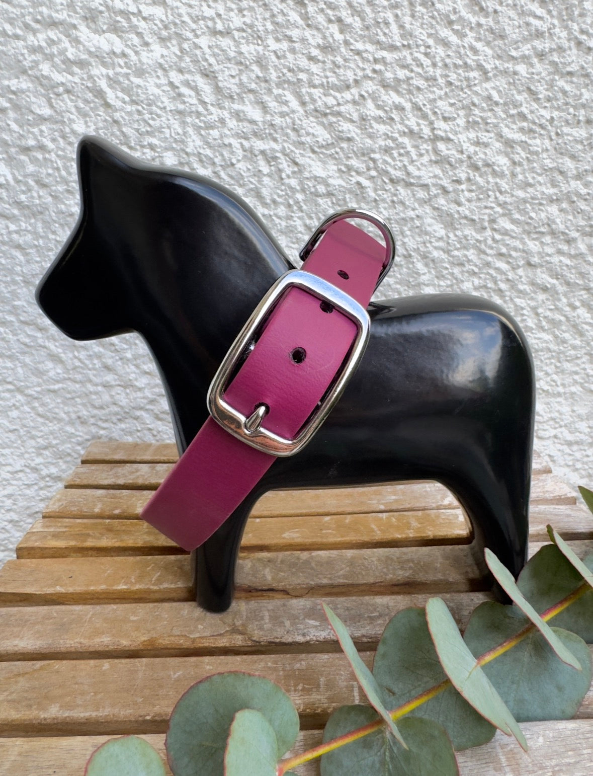 Hundehalsbänder