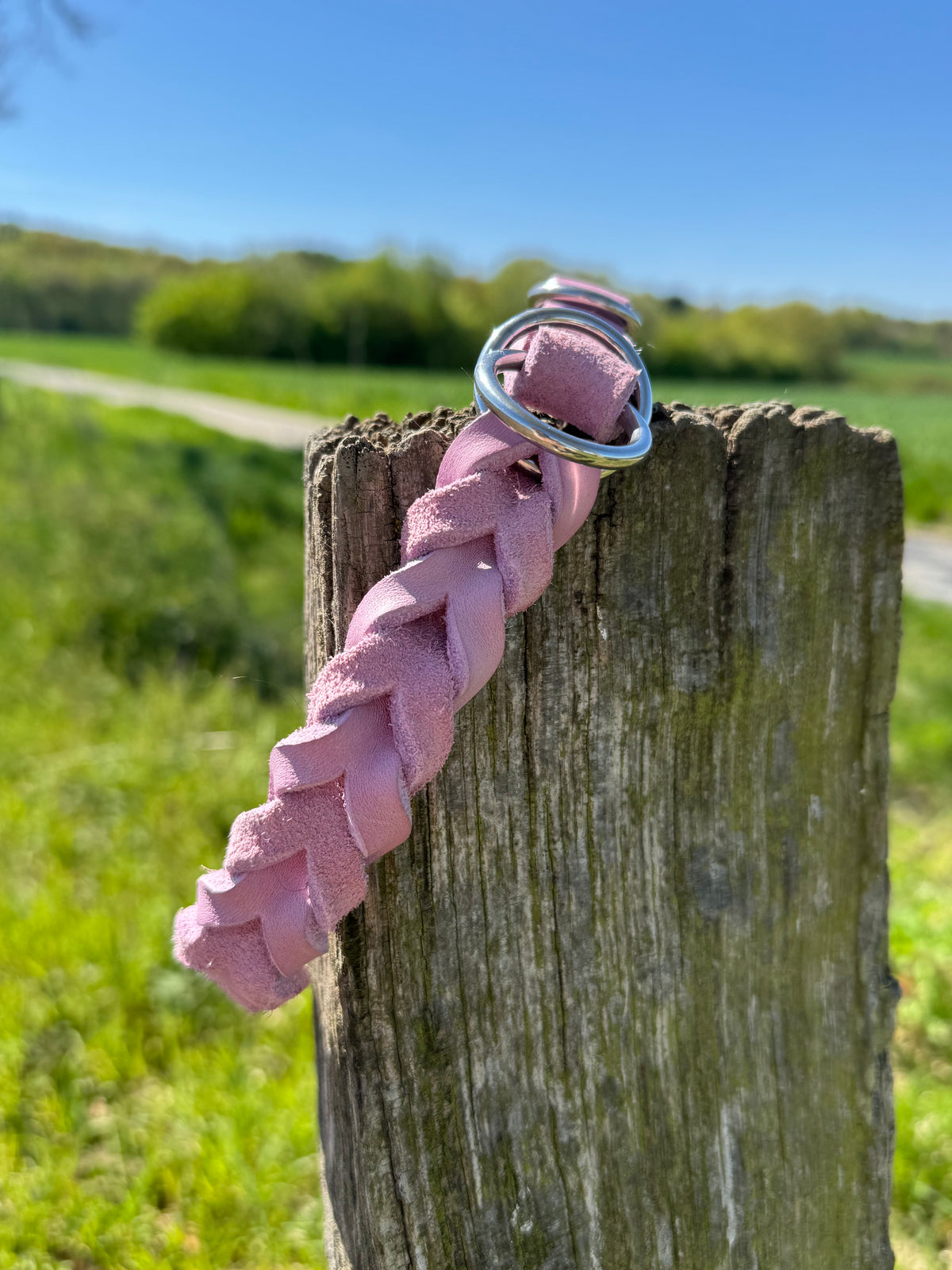 Fettleder Zugstopp Halsband